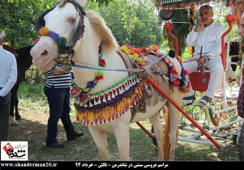 عروسی سنتی در شاندرمن-خرداد ۱۳۹۴ (۲)