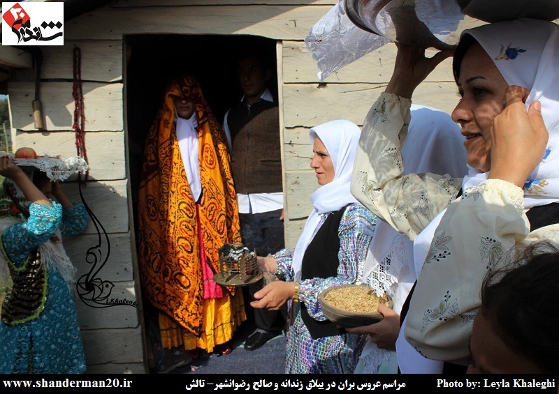 عروس بران در ییلاق زندانه و صالح پره سر (۰۲)