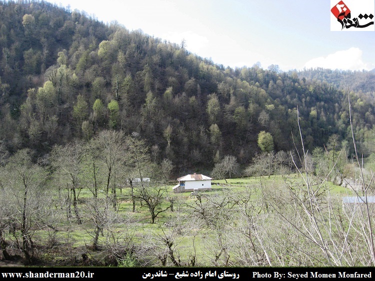 روستای امامزاده شفیع شاندرمن - سید مومن منفرد