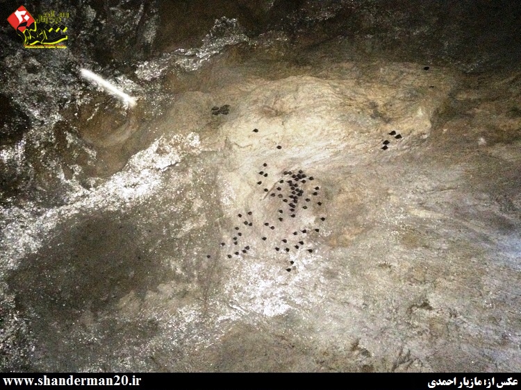 گزارش سفر به غار آویشو - شاندرمن۲۰ (۲۸)